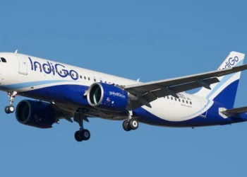 Indigo flight bird strike Bengaluru